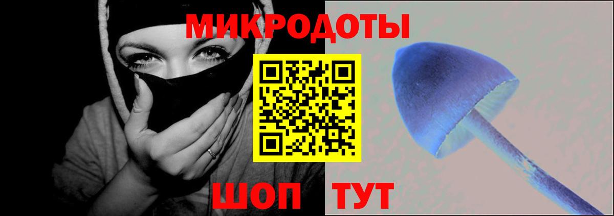 Чехов  Псилоцибиновые грибы GOLDEN TEACHER  Вход с VPN  Галлюциногенные грибы мицелий 